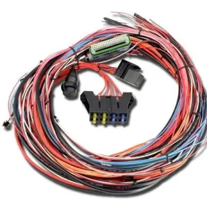 Rabat Wiązka komputera EMS-4 AEM ELECTRONICS