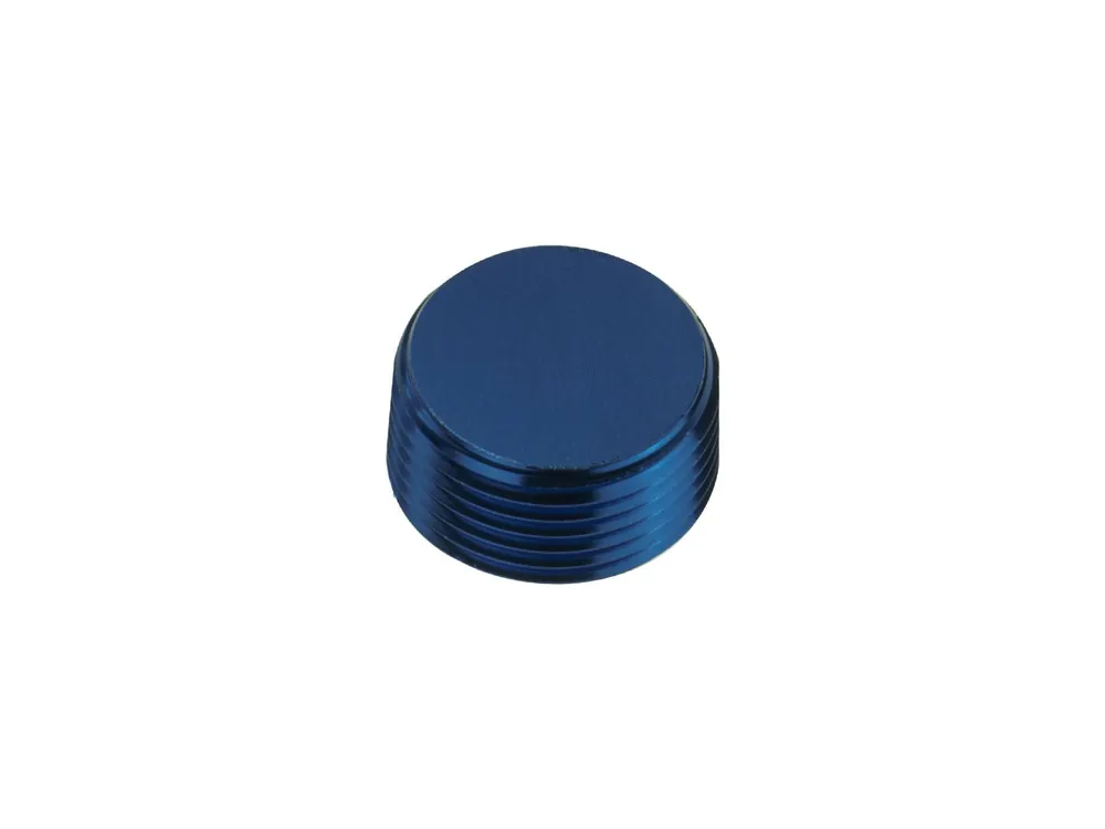 Cena promocyjna 1/8 NPT Korek adapter zaślepka Niebieski FMIC